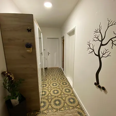 Oli Apartman Nis Exterior photo