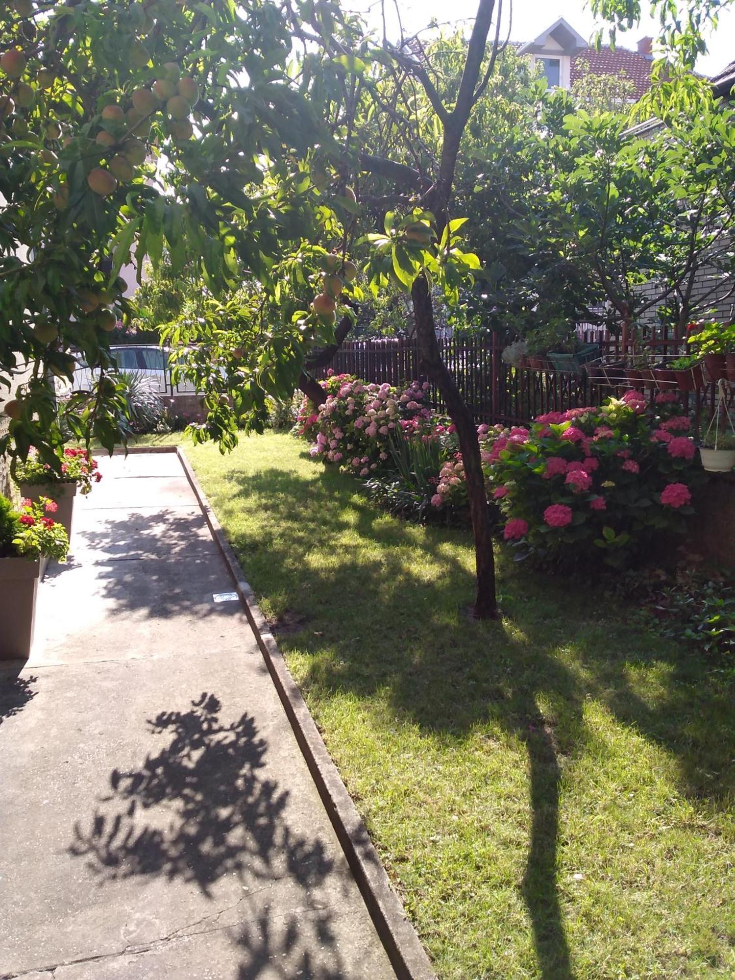 Apartment Oli Nis